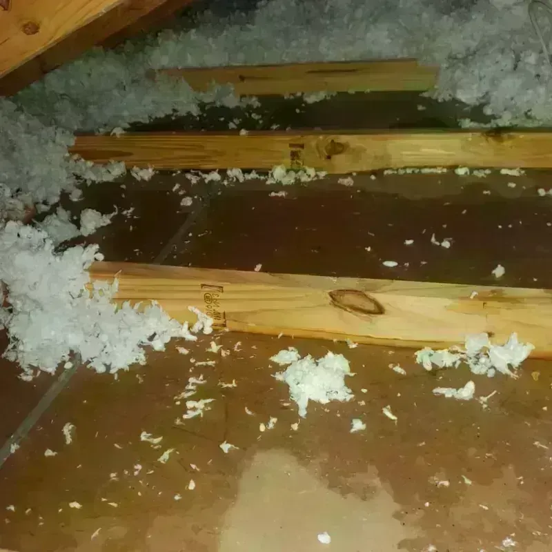 Attic Water Damage in Lake County, SD