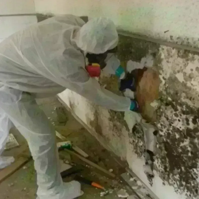 Mold Remediation and Removal in Lake County, SD