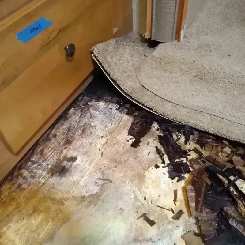 Wood Floor Water Damage in Lake County, SD